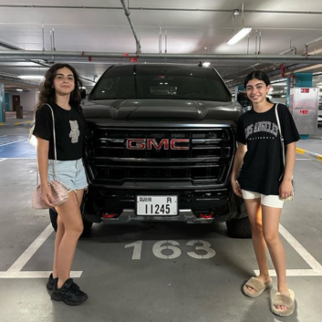gmc208